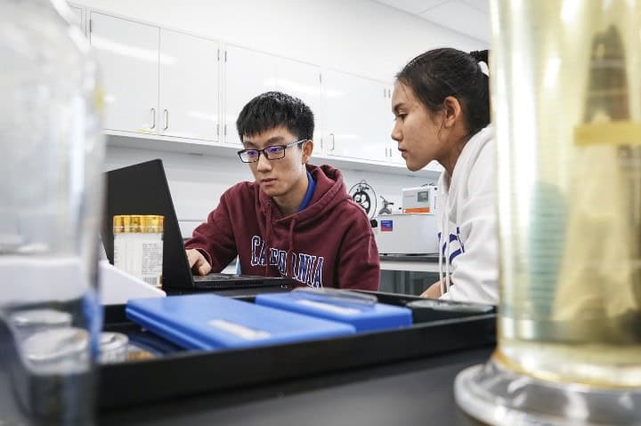 in data students find their truth tang and may