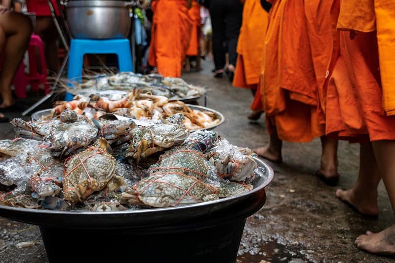 modern day marco polos 003