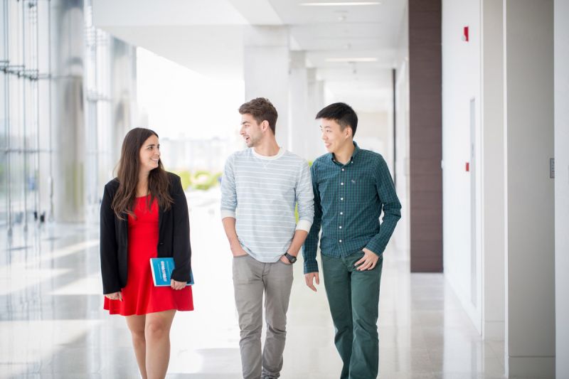 potter hair psed new