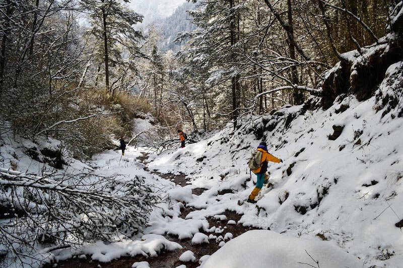 她走在野生动物保护一线,为他人照亮前路 2 3 field research wanglang national nature reserve sichuan 002 800