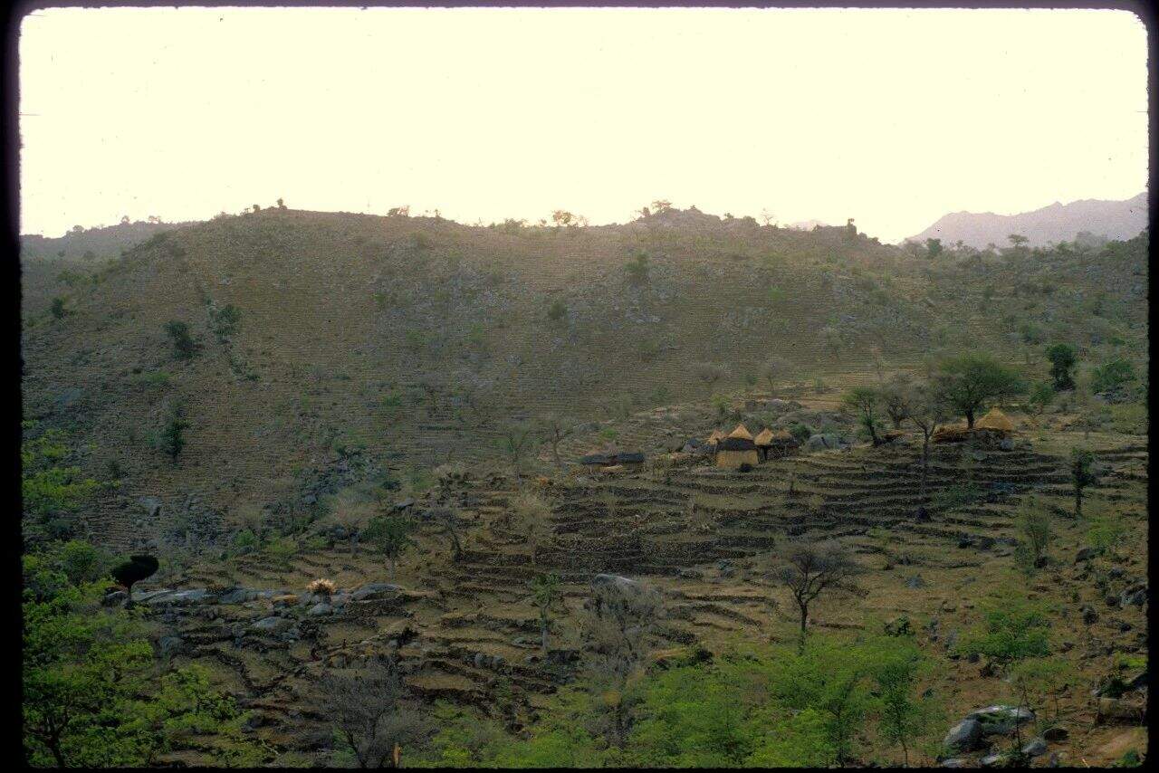 加速人生 6 accelerated life006