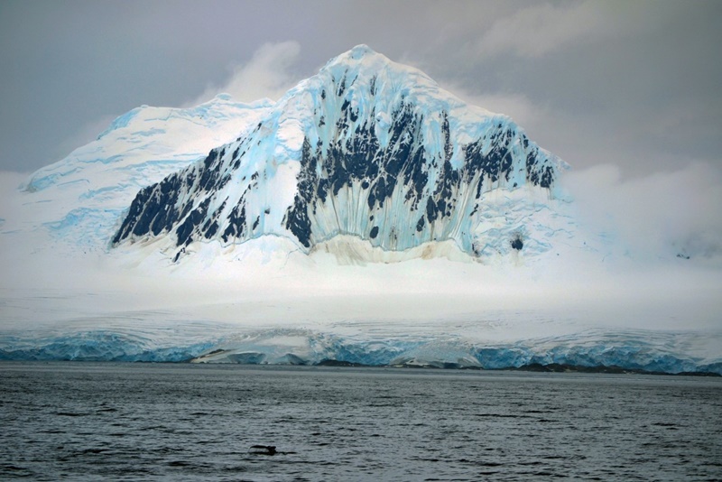 Study reveals worrying implications of warming Western Antarctic Peninsula waters 4 picture2 1