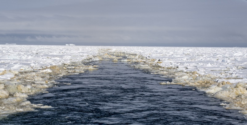 Study reveals worrying implications of warming Western Antarctic Peninsula waters 2 ss3 oscar schofield