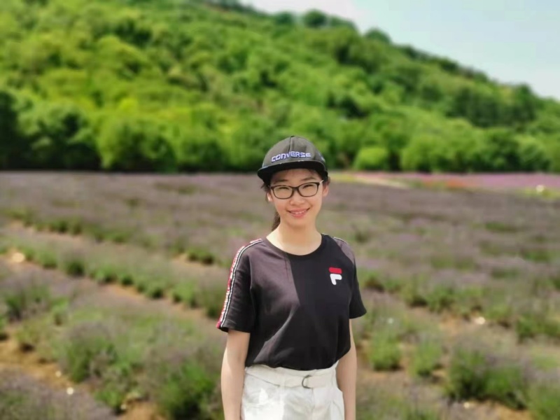 yyw 2