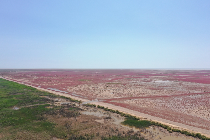 研究:利用河流自净化潜力,改善近海生态 2 b cg