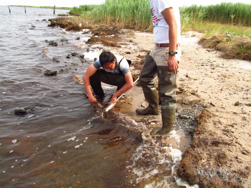 研究:利用河流自净化潜力,改善近海生态 3 c cg